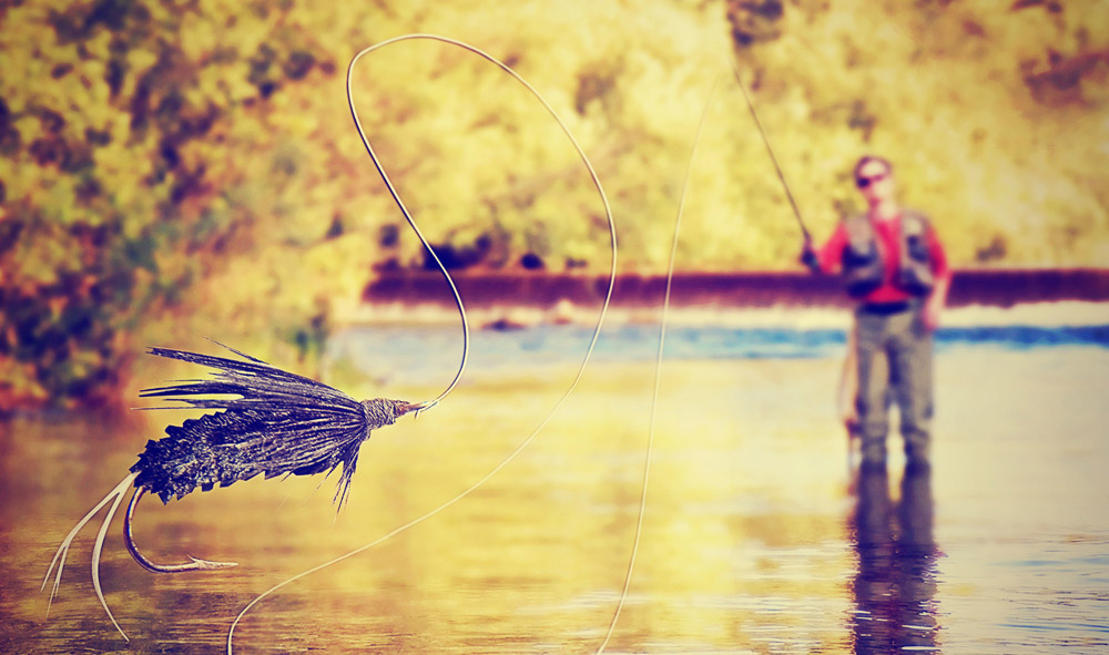 Fly-Fisherman