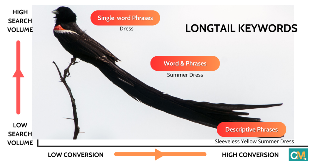 Longtail keyword graphic